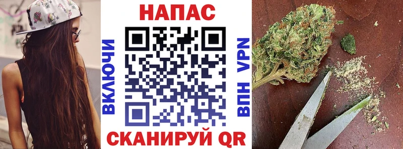 закладки  Жигулёвск  Марихуана сатива 
